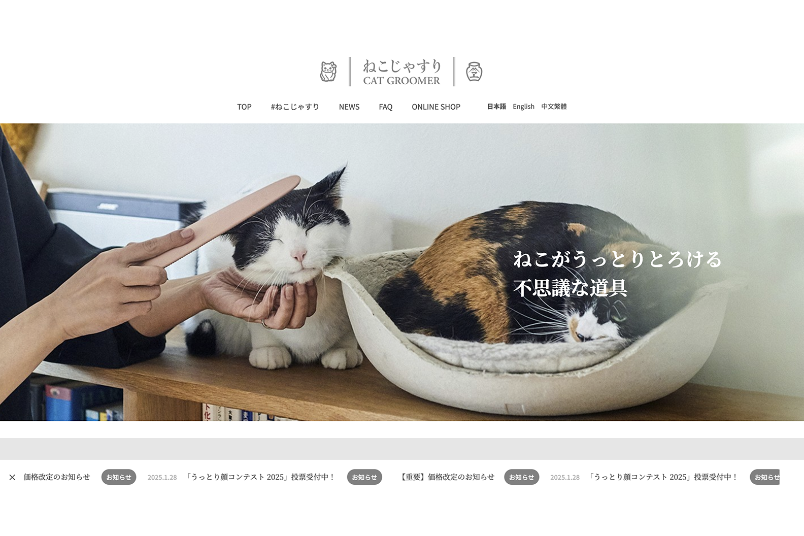 ウェブサイト