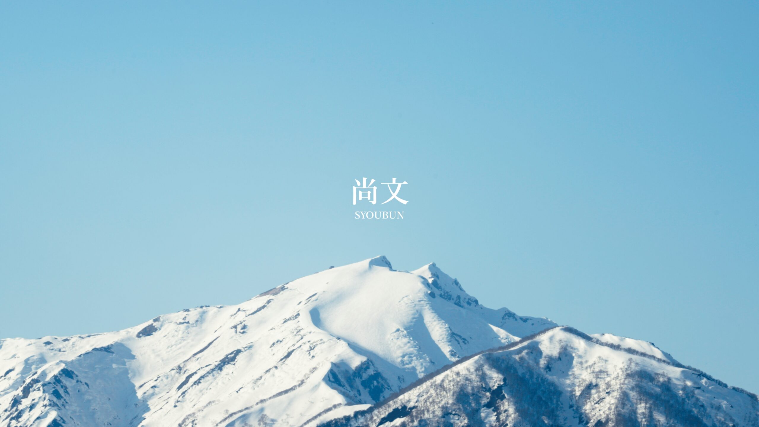 尚文PV